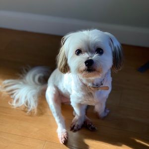 Meet your Posher, Sandra